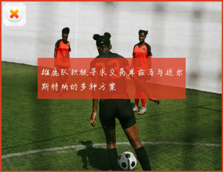 雄鹿队积极寻求交易库兹马与迈尔斯特纳的多种方案